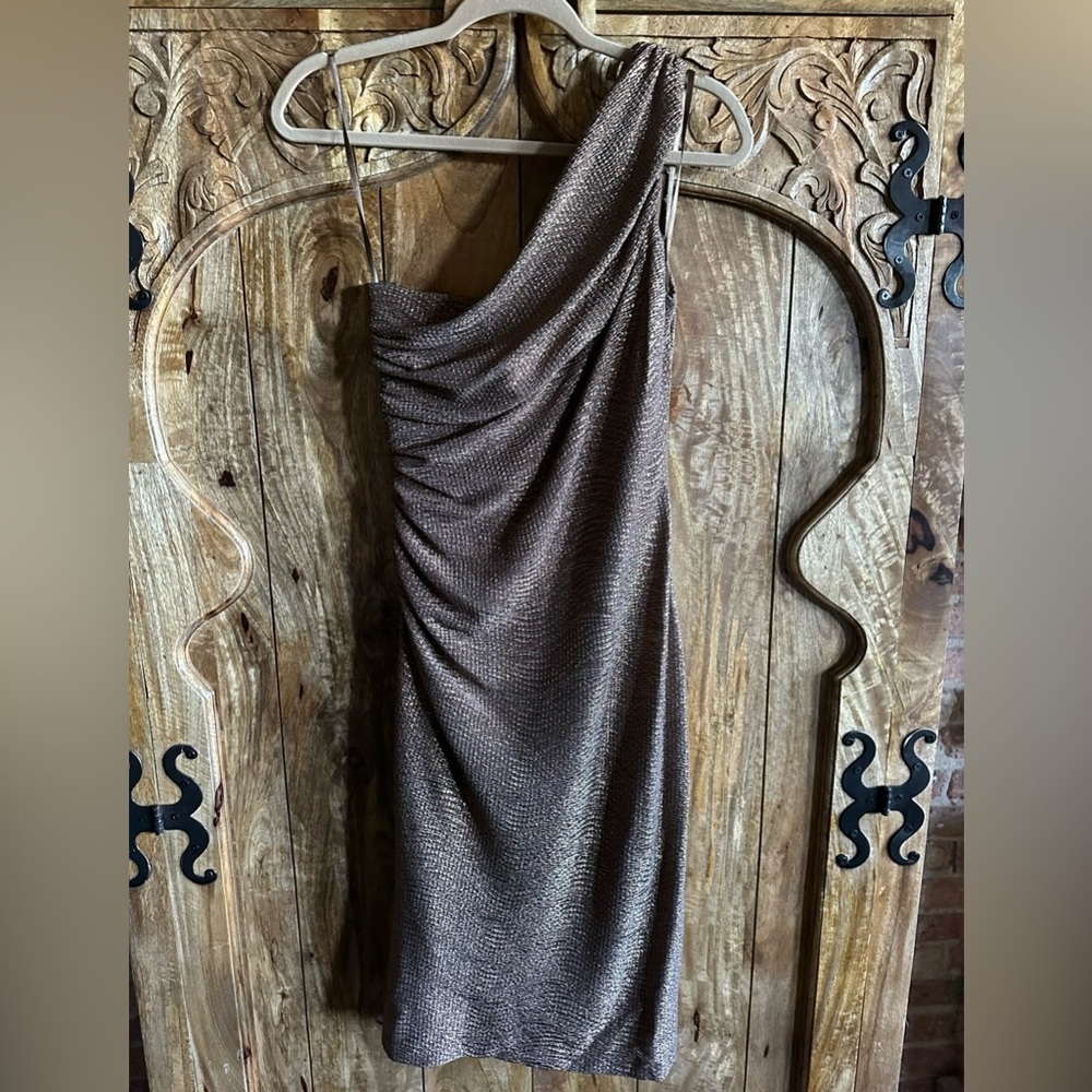 Sparkly Bronze Dress